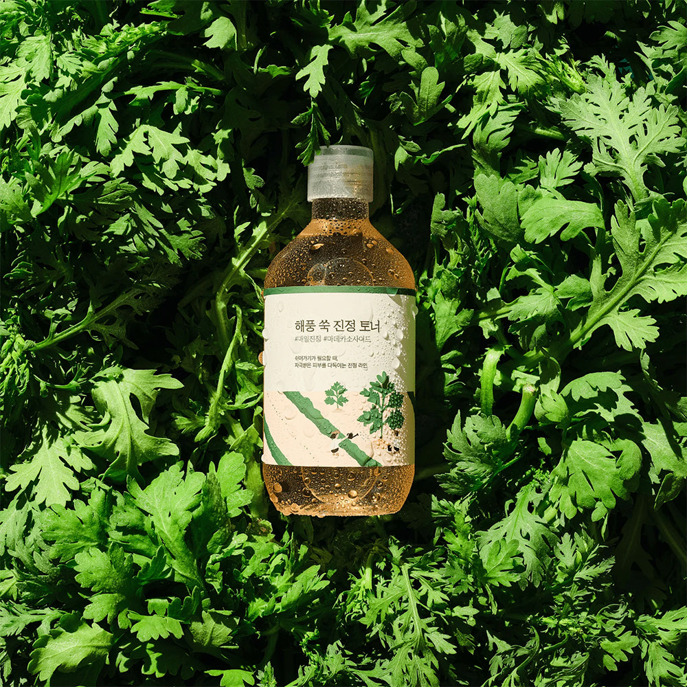 Round Lab Mugwort Calming Toner - Happy Skincare